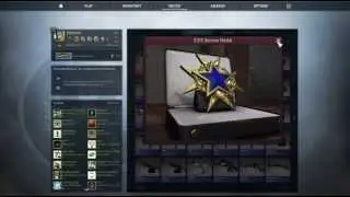 CSGO: Prestiging/2015 Service medal (Rank 40)
