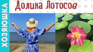 Долина Лотосов 🌺 в Приморско-Ахтарске | Заповедник в Садках