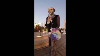 Street entertainment