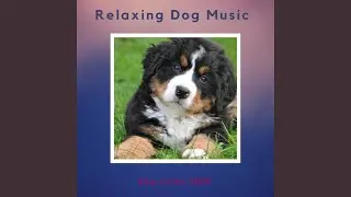 Relaxing Music for Your Dog, Series 5