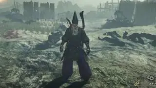 Nioh: Tsukuyomi 100% Firearm reduction build (Way of the Wise)