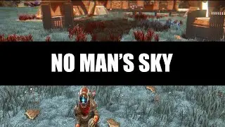 Some NMS (No Man's Sky)