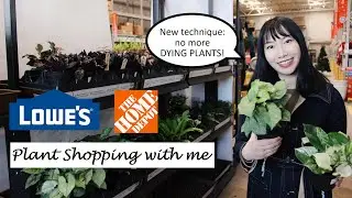 Big Box Store Plant Shopping at Home Depot & Lowe&rsquo;s | January 2020
