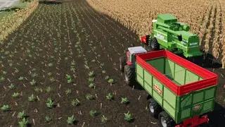 Bought land for farming of $1 Million