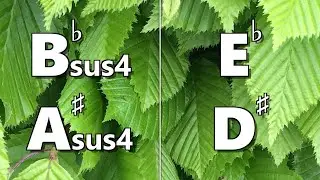 Bbsus4 (A#sus4) to Eb (D#) Backing Track