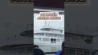 Du thuyền Athena cruise c&oacute; g&igrave; ????? #athenacruise #vivuhalong
