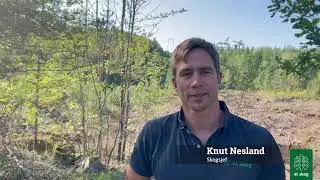 AT Studio: Skogfond - nyttig info fra skogsjefen og Statsforvalteren