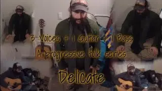3 Voices + 1 Guitar + 1 Bass a progressive folk series 