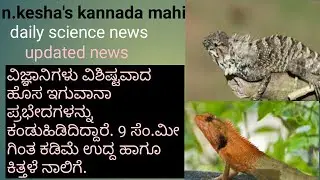Scientists Discover Unique New Iguana Species/science news in kannada/N.kesha's kannada mahiti