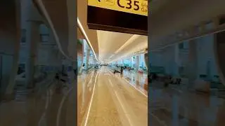 Endless Abu dhabi Airport | Zayed International Airport Transit | AUH #shorts #abudhabi