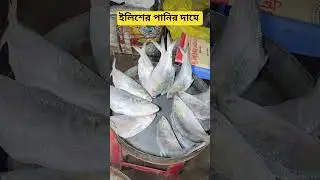 বড় বড় ইলিশের বাজার আজকে প্রতি কেজিতে 1000 টাকা