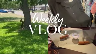 Vlog | TJ Max, paseo, mis niños