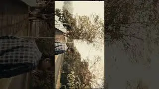 #cinematic #nature #chittaranjan #shootingtime #shortvideo #shorts
