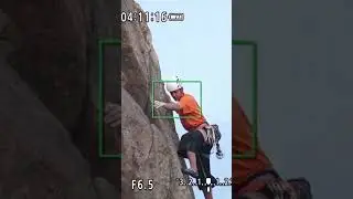 Best Bridge Cameras for Stunning Photos and Videos in 2023