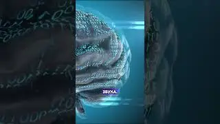 полное погружение в VR #sao # #кудасходитьвмоскве #кудасходитьсдетьми #vrигры #виртуальнаяреальность