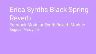 Erica Synths Black Spring Reverb Eurorack Modular Synth Reverb Module