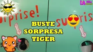 APRO ALTRE BUSTE SORPRESA DI TIGER MA CI SARANNO ALTRE COSE TOP?  By Nika
