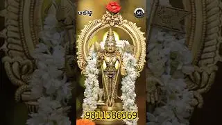 12 Inches Brass Murugan #magizhhandicrafts #murugaperumal #trending #muruganstatue
