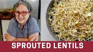 How to Sprout Lentils with NO Jar | The Frugal Chef
