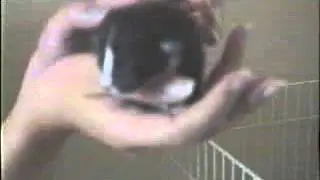 20030725 225036 1