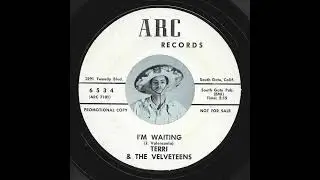 Terri & The Velveteens - I&rsquo;m Waiting