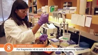 Tips for using the Monarch DNA Gel Extraction Kit