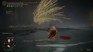 ELDEN Bros: Bloodhound step = Aura Farming