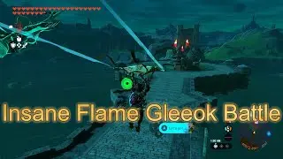 Zelda Insane Flame Gleeok Battle! #zelda #gaming