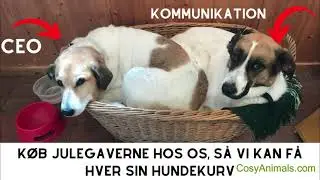 Sjove gaver Black Friday og jul | Cosy Animals | julegaver og boligindretning