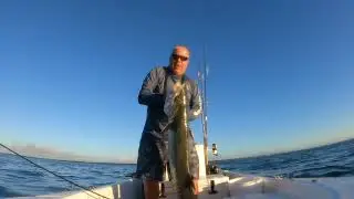 Trolling for Kingfish