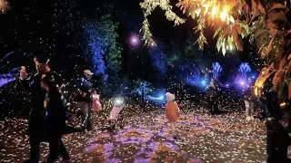 The sights and sounds of Lightscape