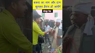 एशिया का सबसे बड़ा पशु मेला सोनपुर 😱 || Sonpur Mela 2024 #sonpurmela #fair #viralvideo #shorts