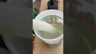 Easy way to connect poly braided hose to fittings