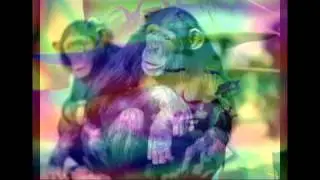 Angel Blue Band - Trippin' With The Monkey