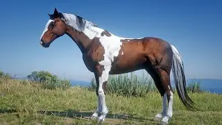 John Marston Tames Beautiful Black Chestnut Thoroughbred Horse near Twin Stack Pass | RDR2