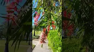 Blowing in the wind
