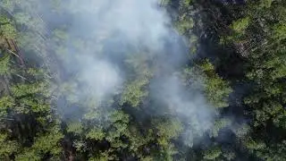 Control burn in Hollister Florida Video 3