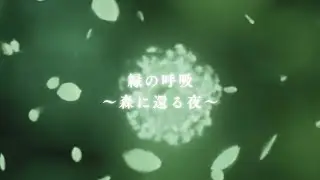 緑の呼吸 〜森に還る夜〜Forest Bathing Frequency｜Deep Healing Night