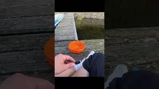 K&ouml;der #fish #fishing #fisherman #fishinglife #fishingtrip #fishingvideo #fishingvideos