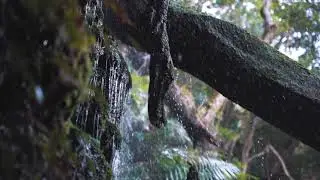 Natures Magic!!
