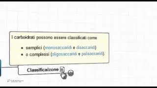 Carboidrati, classificazione e funzione. Caratteri generali per il test di medicina