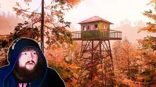 Forest Lookout…