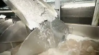 Eruis Flake Ice Machines: The Smart Cooling Solution for Poultry Processing Plants