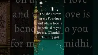 Divine Reflections: An Islamic Quotes Sanctuary - Discover Spiritual Wisdom and Guidance