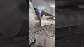 shrimp deheading machine, shrimp deheading system, shrimp deheading line, prawn deheading machine