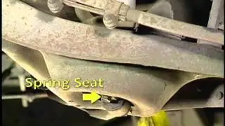 SLA diagnosis
