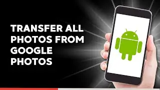 Как перенести все фотографии из Google Фото в Галерею Android