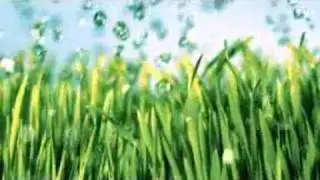 Financial Planning Rosny Park Aequis TAS