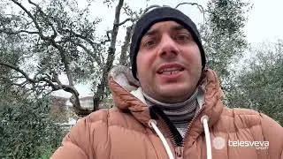 ECCELLENZA | Bisceglie, un 2025 sin qui da imbattuto. Dammacco: 