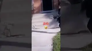 Somersault #shorts #viral #funny 😂 #fyp